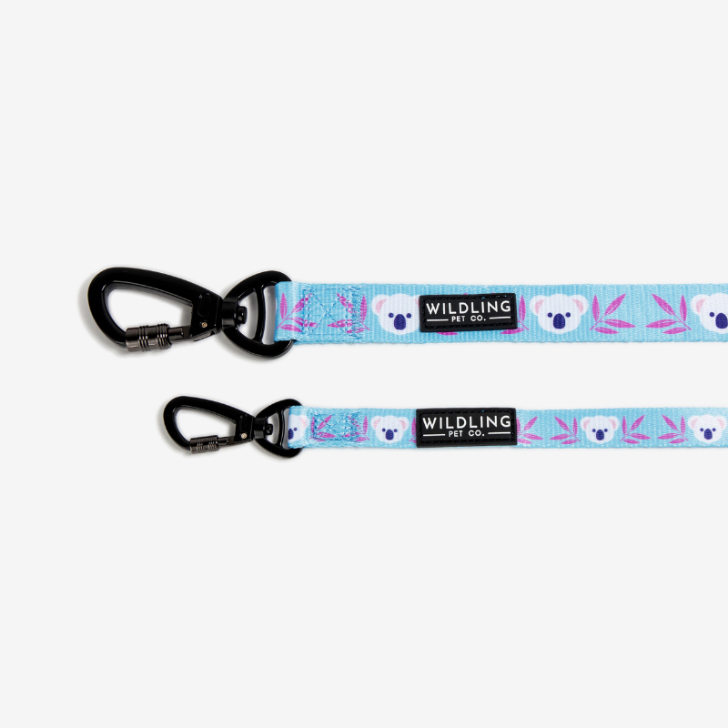 Koala Dog Leash