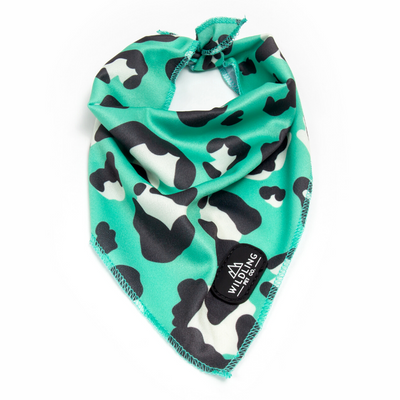 Leap Dog Bandana