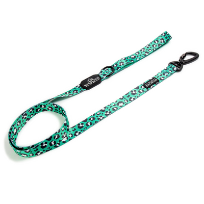 Leap Dog Leash