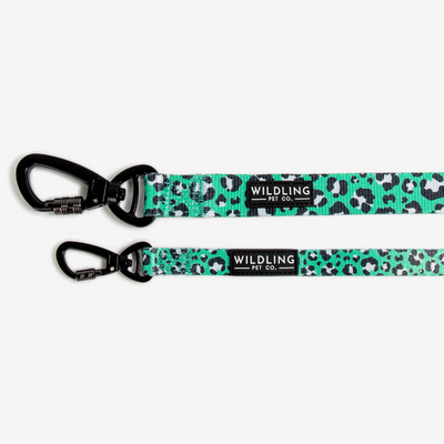 Leap Dog Leash