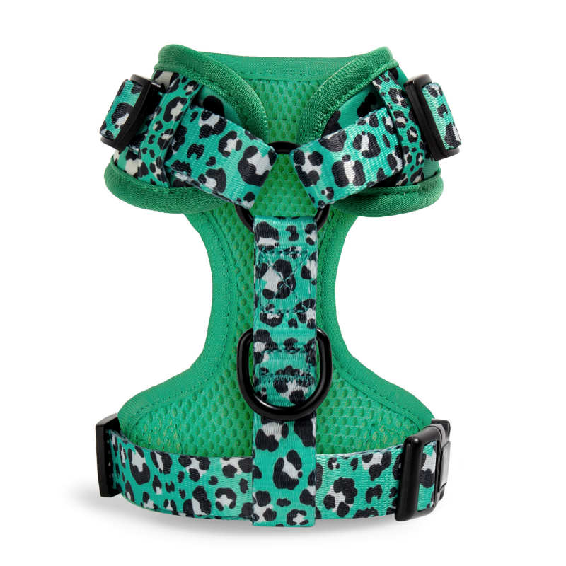 Leap Dog Harness