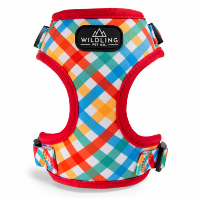 Picnic Dog Harness