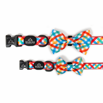 Picnic Dog Collar