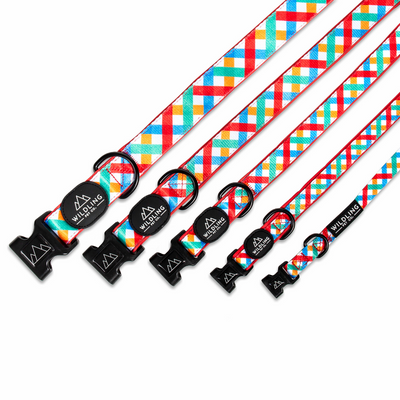 Picnic Dog Collar