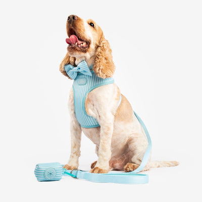 Remix Dog Harness | Clouds