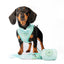 Remix Dog Collar | Minty