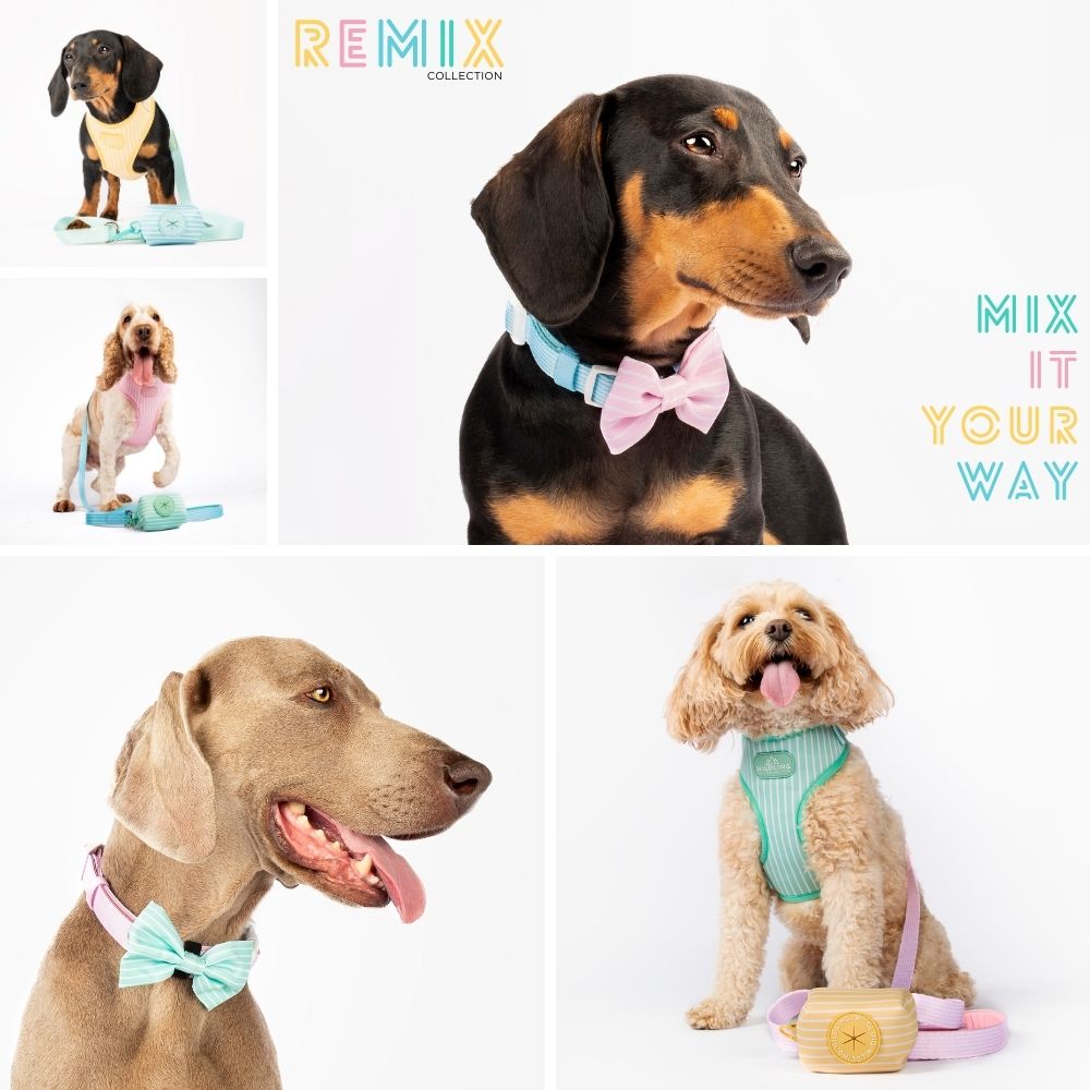 Remix Dog Harness | Honeycomb