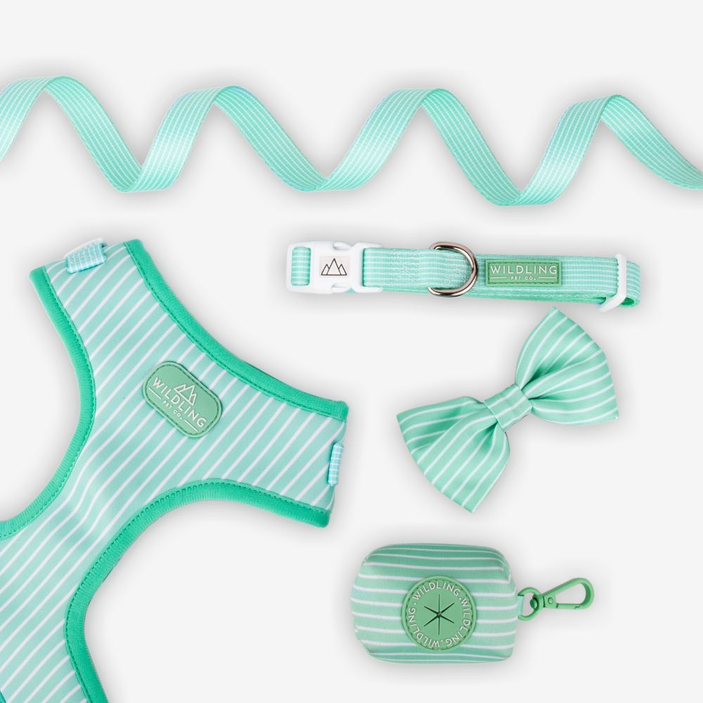 Remix Bow Tie | Minty