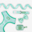 Remix Dog Collar | Minty