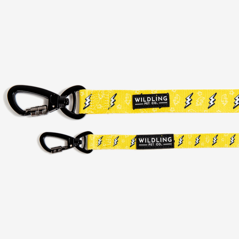 Strike Dog Leash