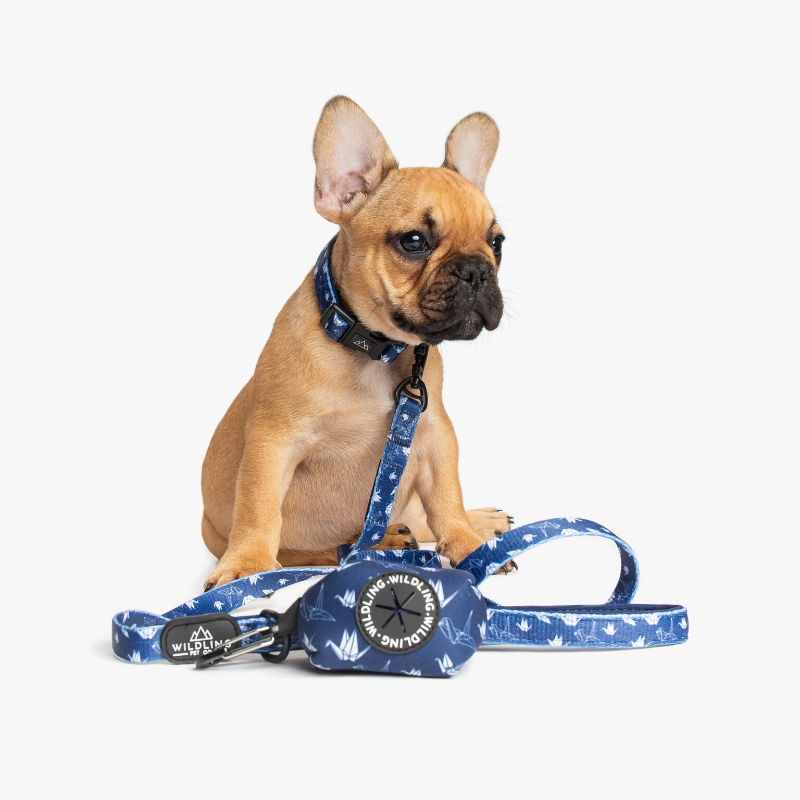 Wildling Pet Co. Tokyo Dog Collar | Peticular