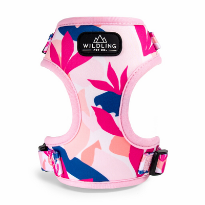 Tropico Dog Harness