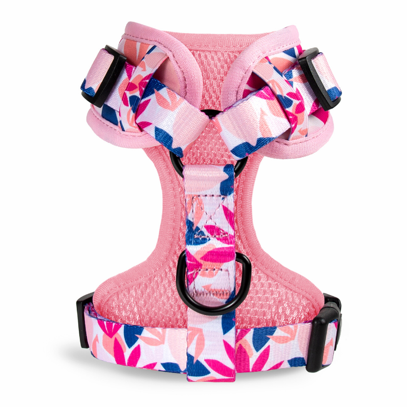 Tropico Dog Harness