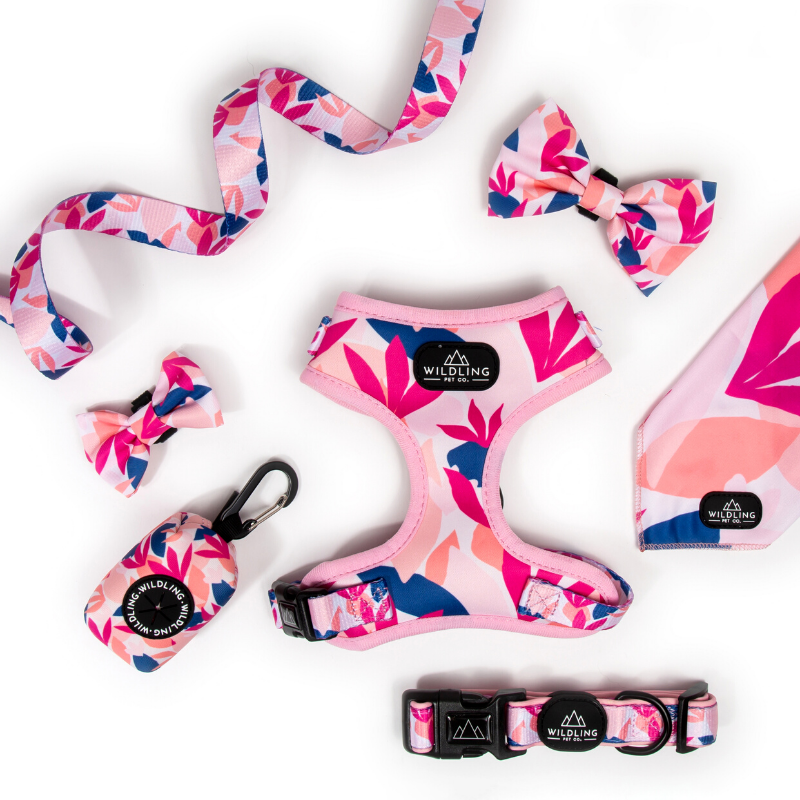 Tropico Dog Harness