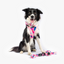 Tropico Dog Leash