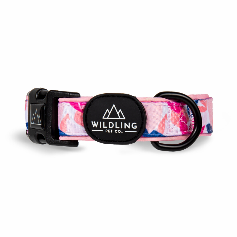 Tropico Dog Collar