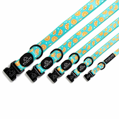 Zest Dog Collar