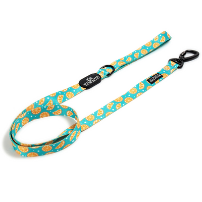 Zest Dog Leash