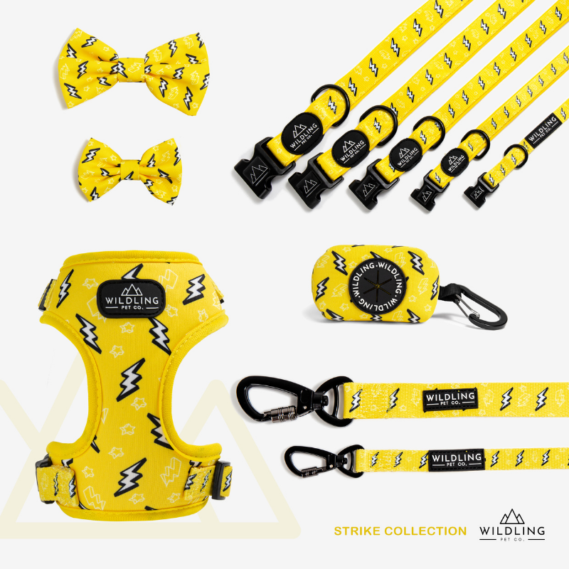 Strike Dog Leash