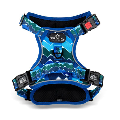 Adventure Dog Harness | Inca