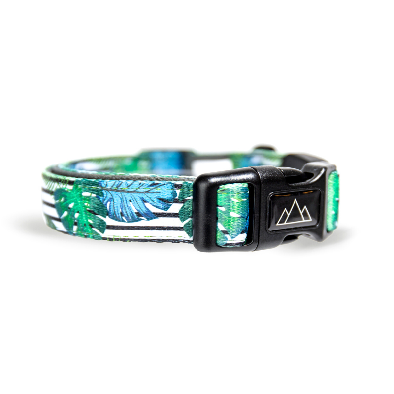 Wildling Pet Co. Aloha Dog Collar | Peticular