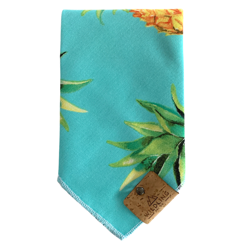 Dog Bandana | Pina