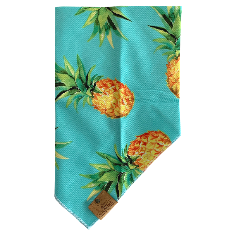 Dog Bandana | Pina