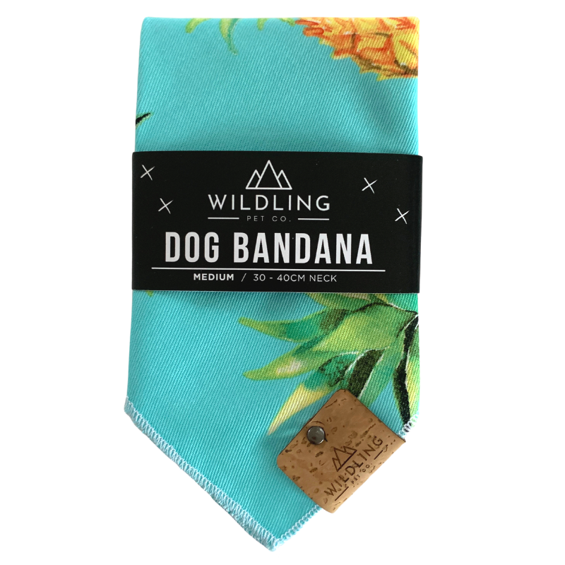 Dog Bandana | Pina