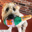 Haute Diggity Dog Plush Dog Toy | Woof Clicquot Rosé | Peticular