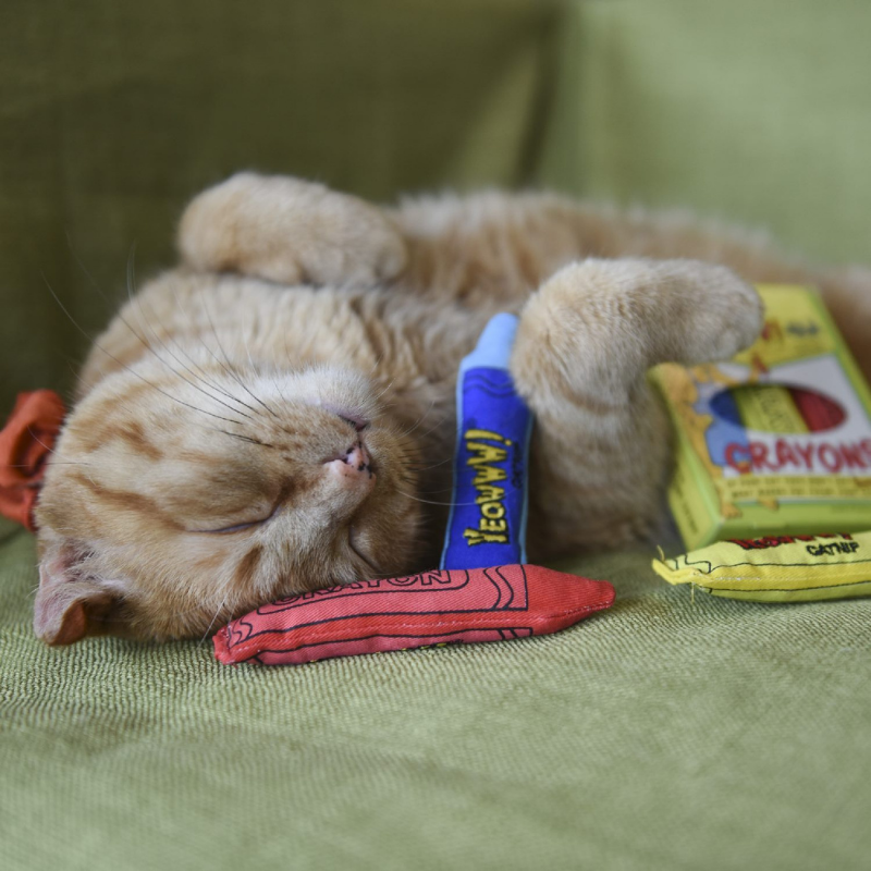 Yeowww!-ola Crayon Catnip Toys