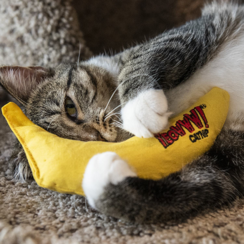 Banana Catnip Toy