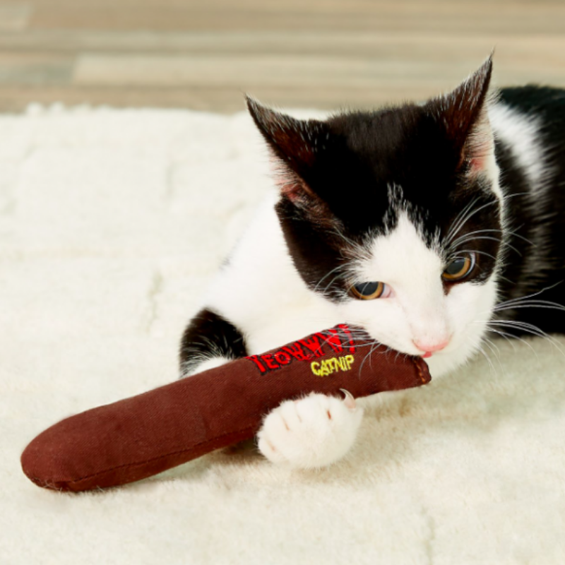 Cigar Catnip Toy