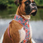 Mahalo Adjustable Air Mesh Dog Harness