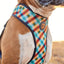Phantom Adjustable Air Mesh Dog Harness