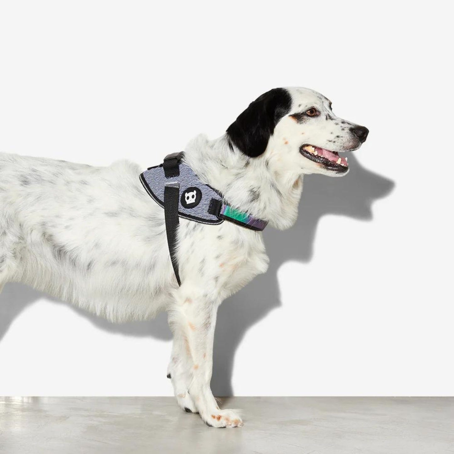 Dog FlyHarness | Urban