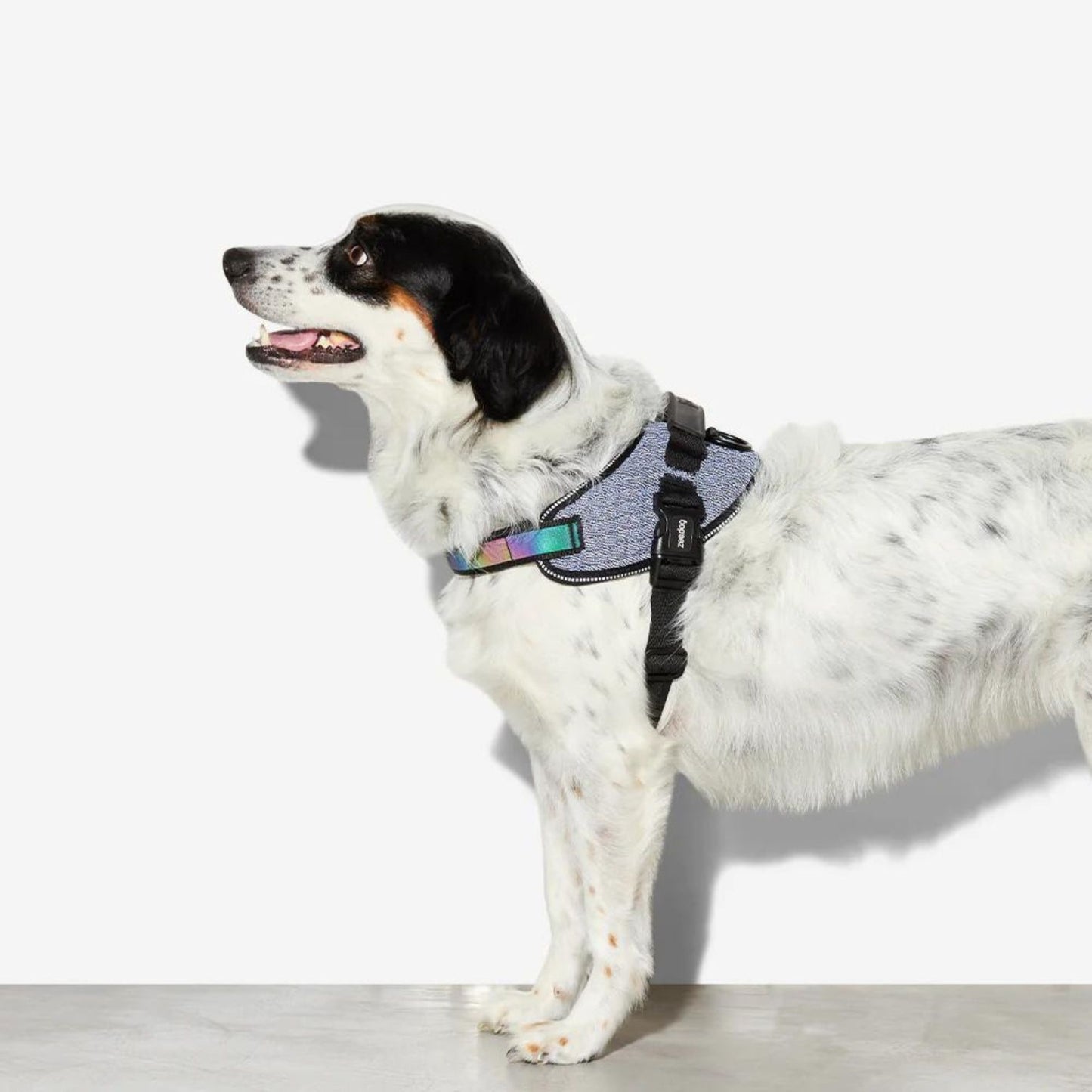 Dog FlyHarness | Urban