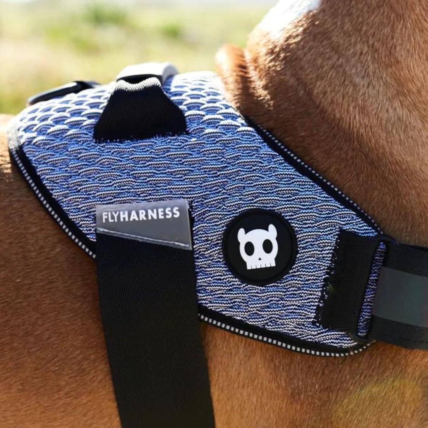 Dog FlyHarness | Urban