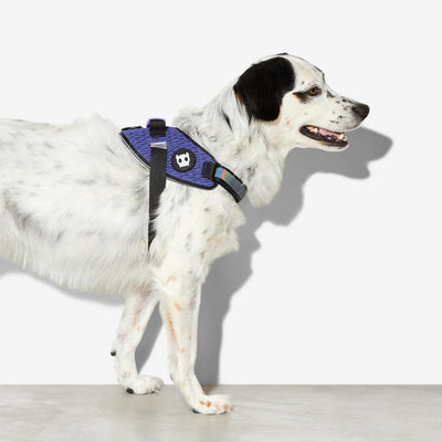 Dog FlyHarness | Wicked