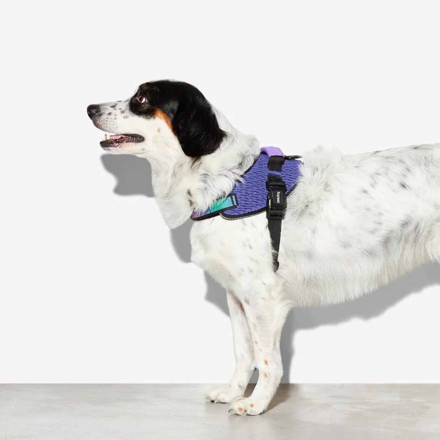 Dog FlyHarness | Wicked