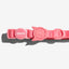 Zee.Cat Neopro Cat Collar | Bubblegum