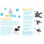 ZenPet Calming Dog Compression Shirt | Peticular