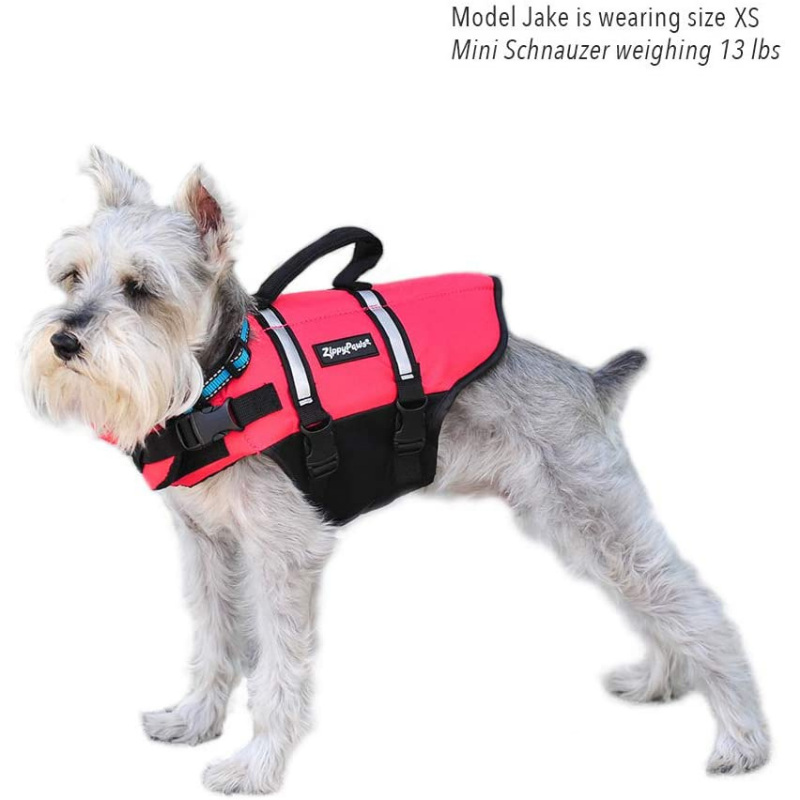 Adventure Dog Life Jacket
