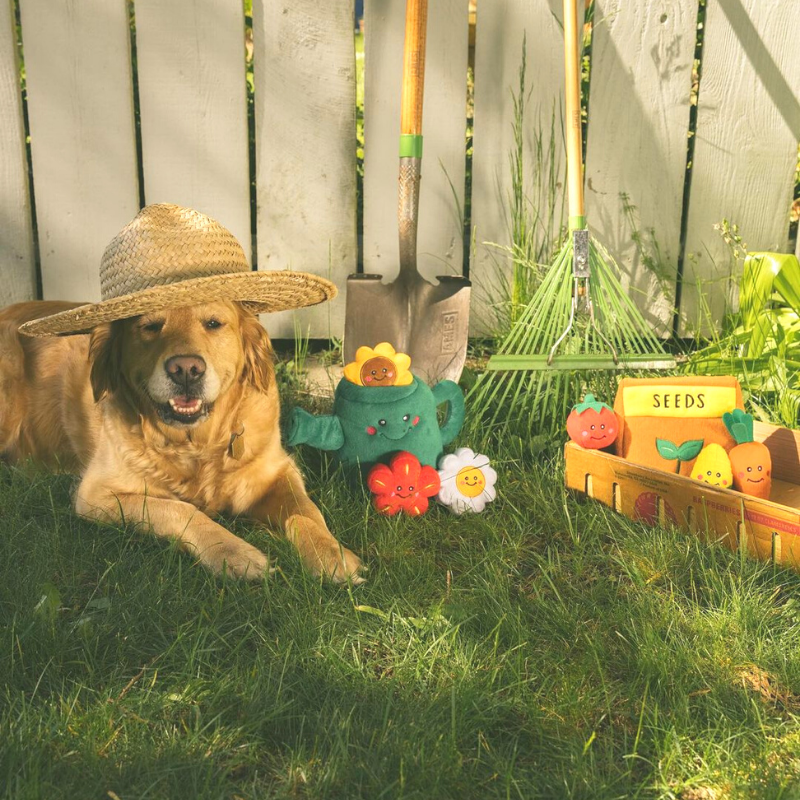 Interactive Dog Toy | Watering Can