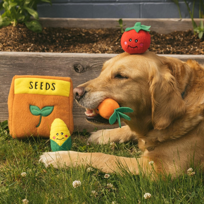 Interactive Dog Toy | Seed Packet And Veggies