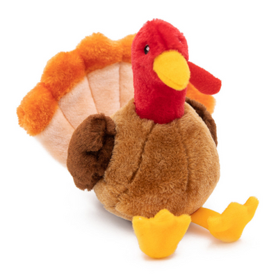 Tucker The Turkey
