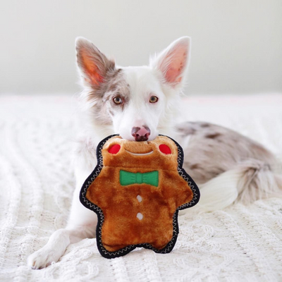 Holiday Z-Stitch | Gingerbread Man
