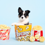 Zippy Paws Interactive Dog Toy | Popcorn Bucket | Peticular