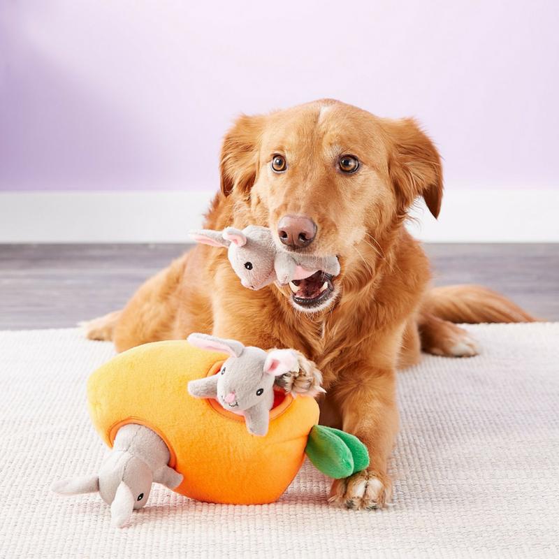 Zippy paws online interactive toys