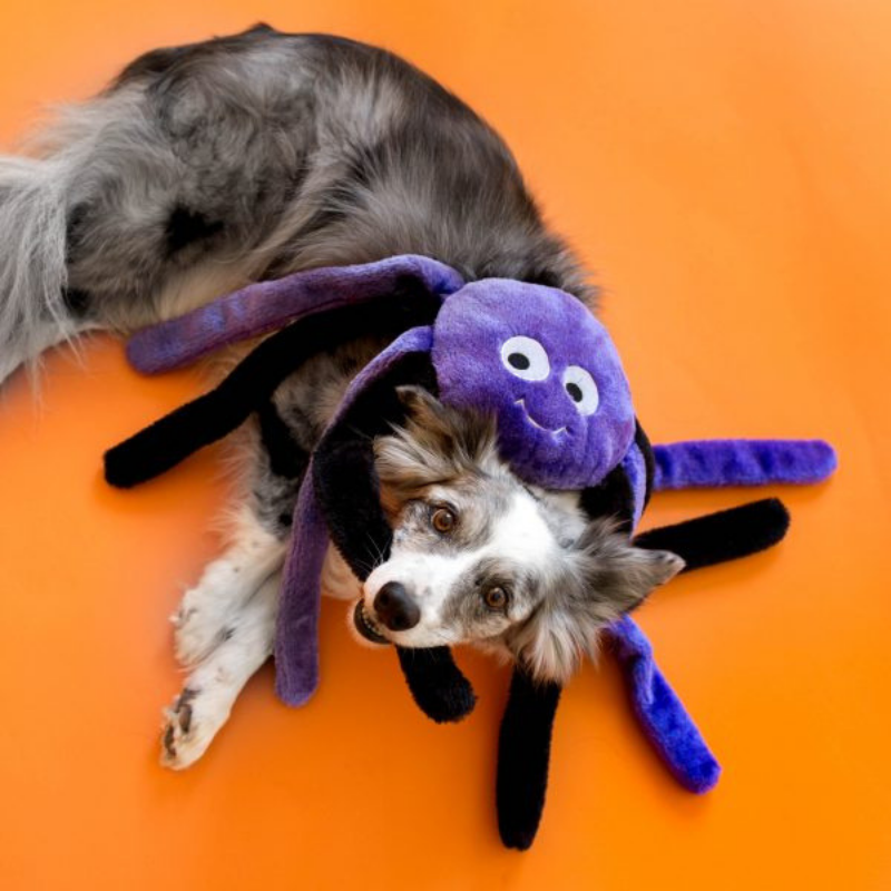 Zippy Paws Halloween Spiderz | Purple | Peticular