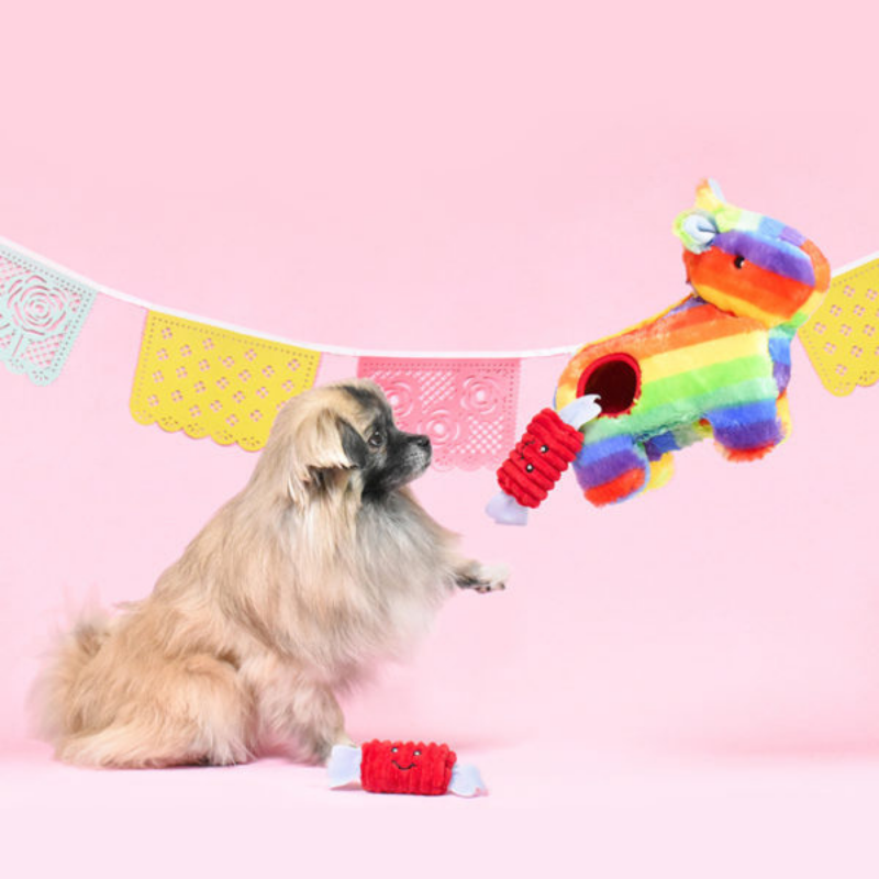 Zippy Paws Interactive Dog Toy | Piñata | Peticular